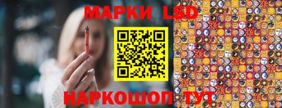 spice Балахна