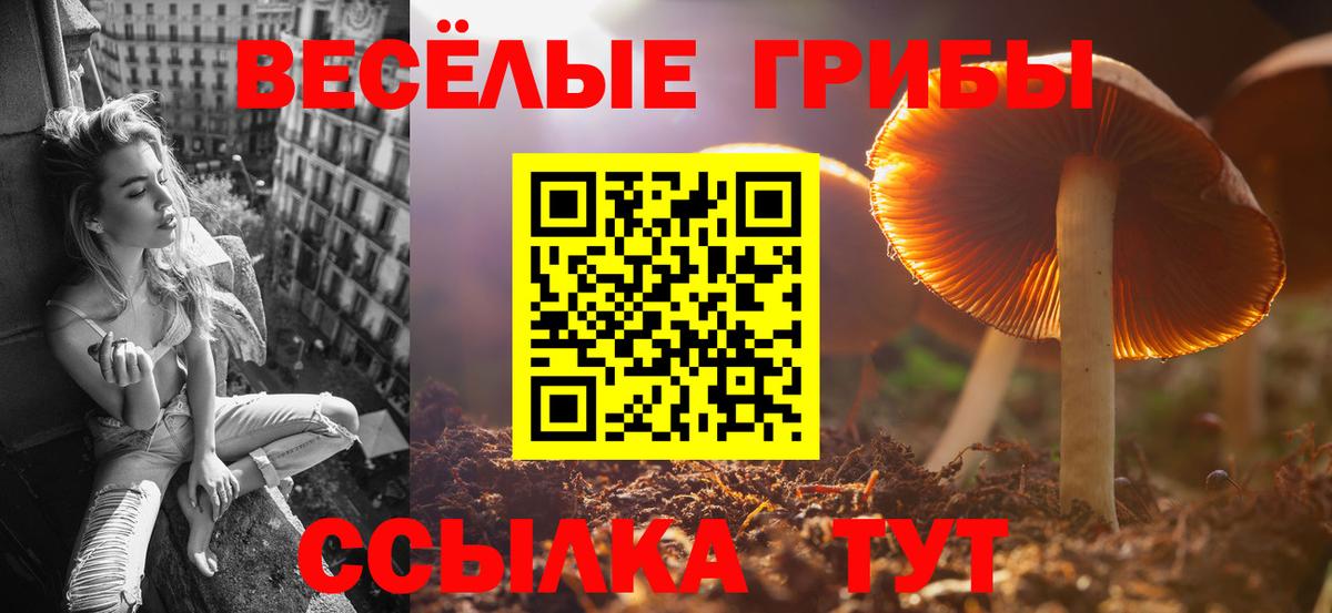 как найти   Галлюциногенные грибы Cubensis  Вход с VPN  Жигулёвск 